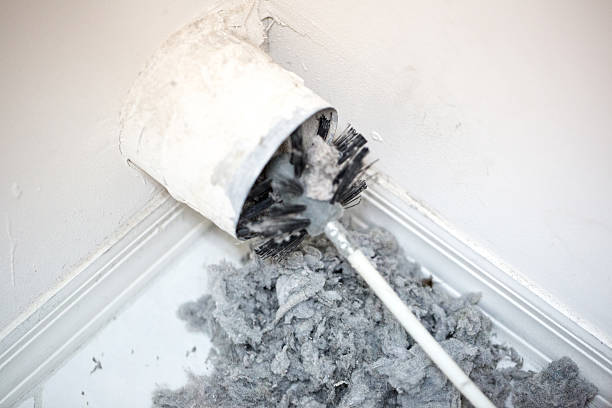 Best Home Air Vent Cleaning  in Linden, AZ
